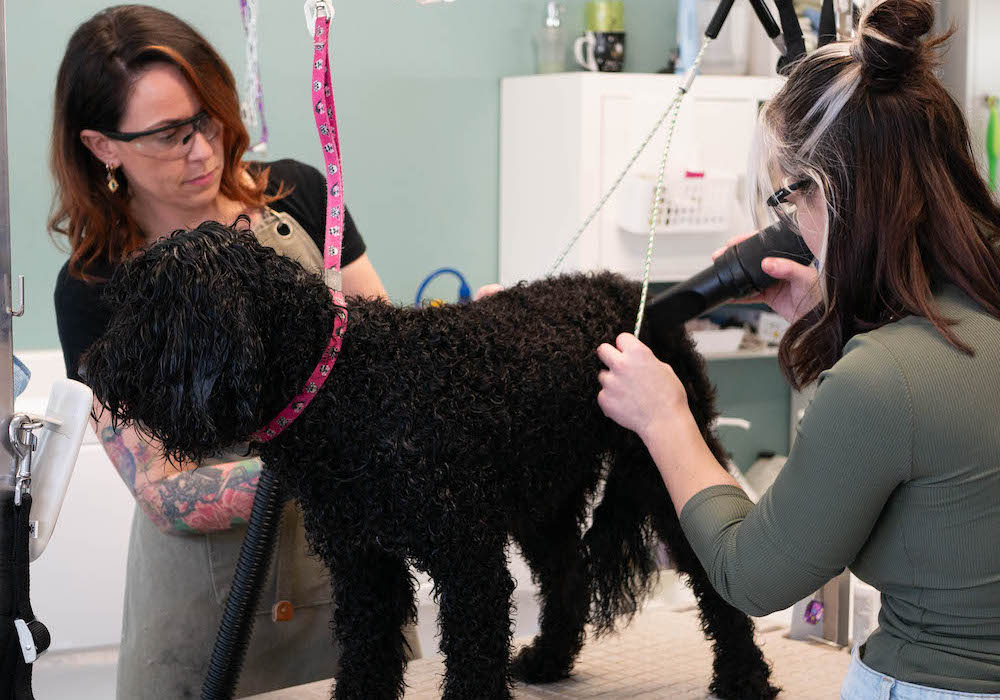 Jacqueline und Lara Hundefriseur