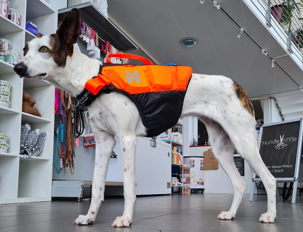 Schwimmweste non-stop dogwear Hunde